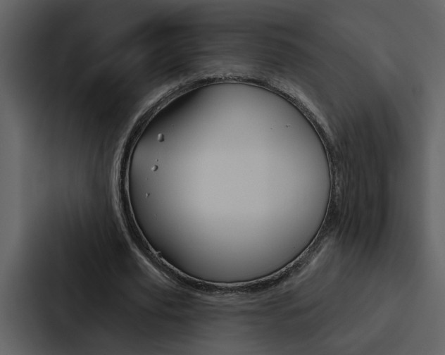 X0000088140629200705141032
