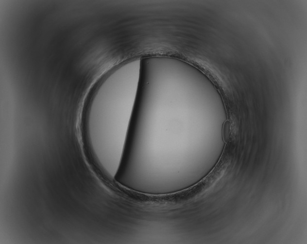 X0000088140630200705141032