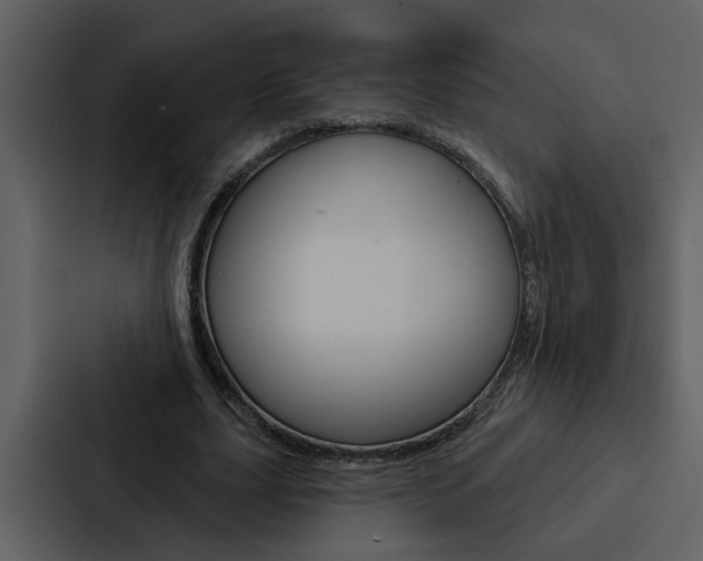 X0000088140631200705141032