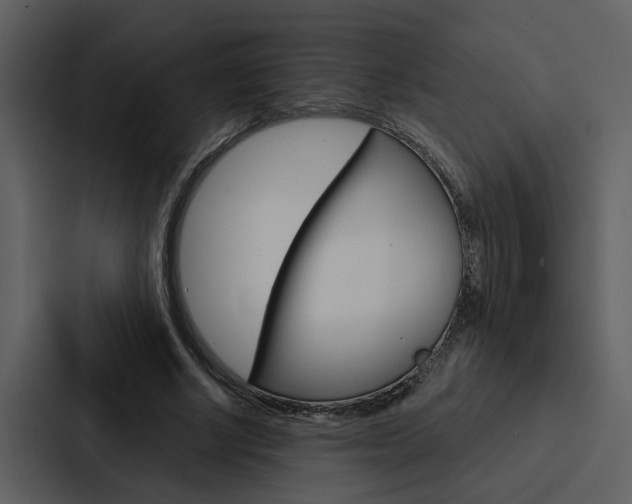 X0000088140634200705141032