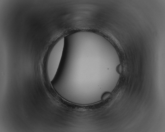 X0000088140635200705141032