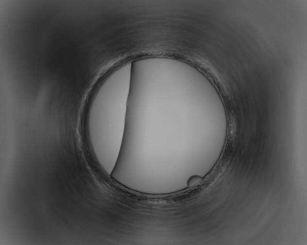 X0000088140636200705141032