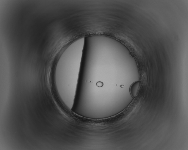 X0000088140638200705141032