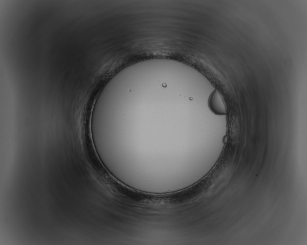 X0000088140639200705141032