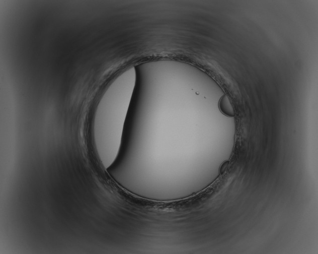 X0000088140640200705141032