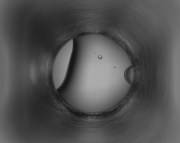 X0000088140641200705141032