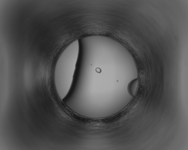 X0000088140642200705141032