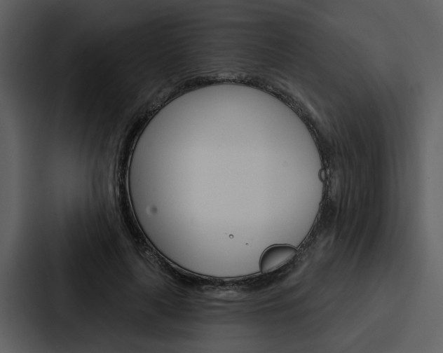 X0000088140643200705141032