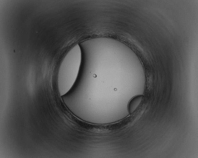 X0000088140644200705141032