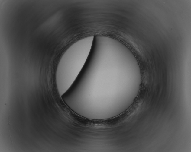 X0000088140645200705141032