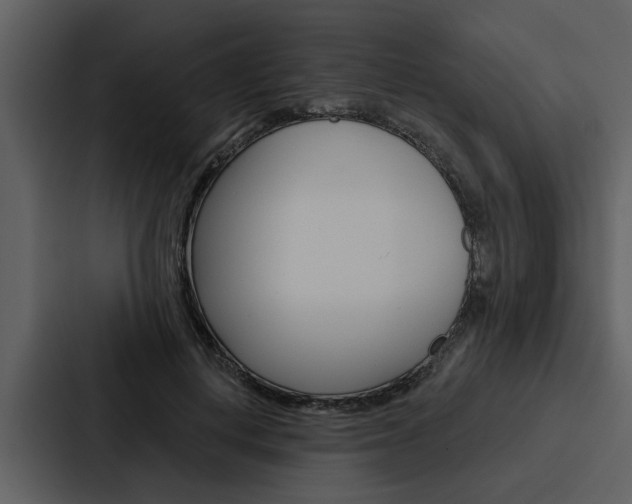 X0000088140648200705141032