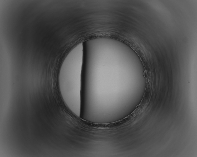 X0000088140649200705141032