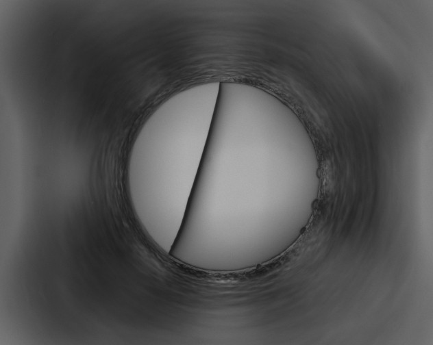 X0000088140650200705141032