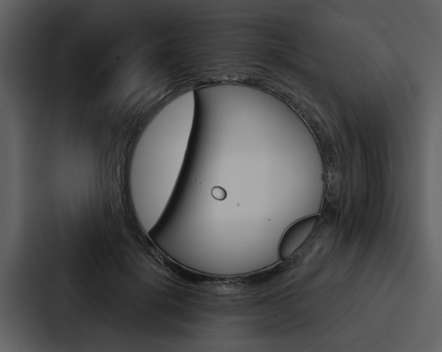 X0000088140652200705141032