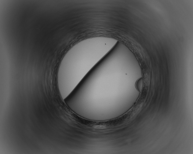 X0000088140653200705141032