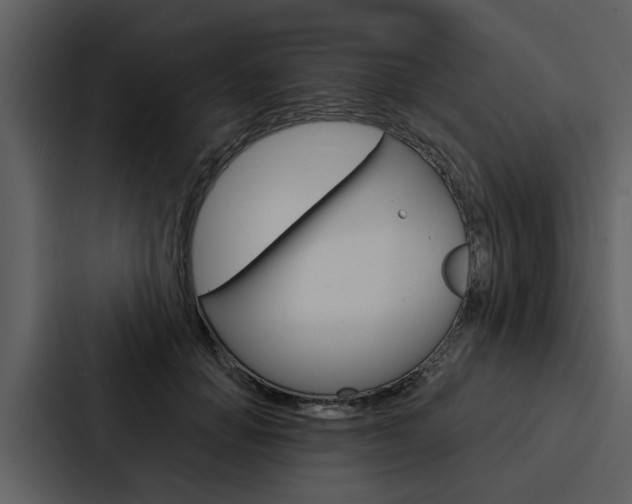 X0000088140654200705141032
