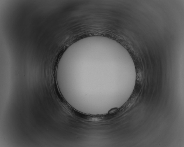 X0000088140662200705141033