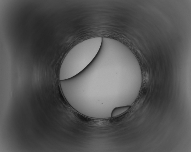 X0000088140663200705141033