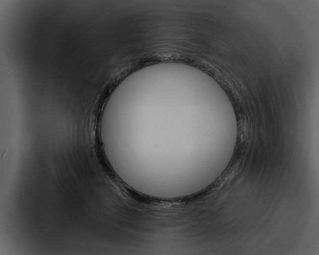 X0000088140664200705141033