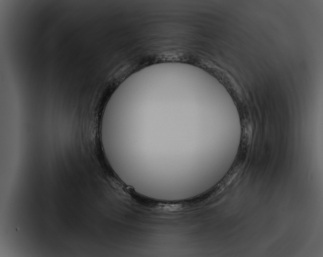 X0000088140665200705141033