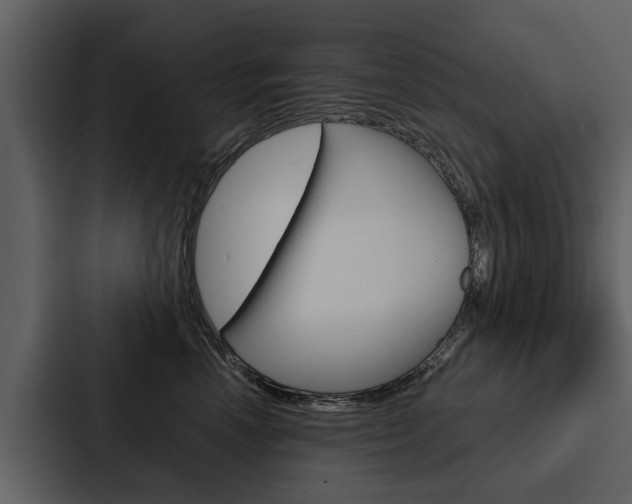 X0000088140666200705141033