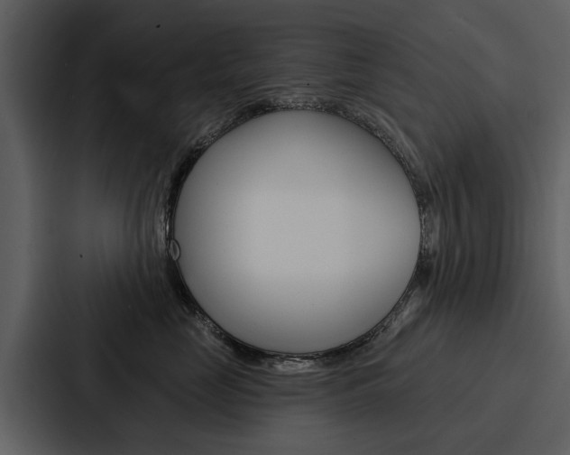 X0000088140669200705141033