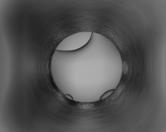 X0000088140670200705141033
