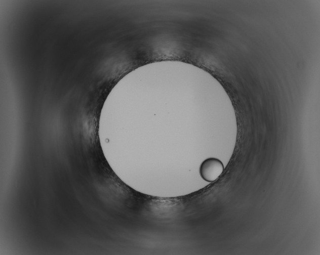 X0000088140672200705141033
