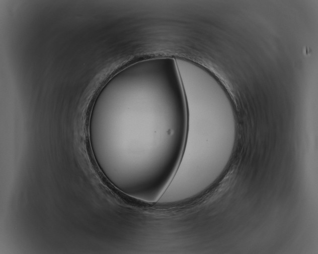 X0000088140673200705141032