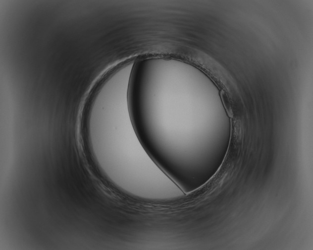 X0000088140676200705141032