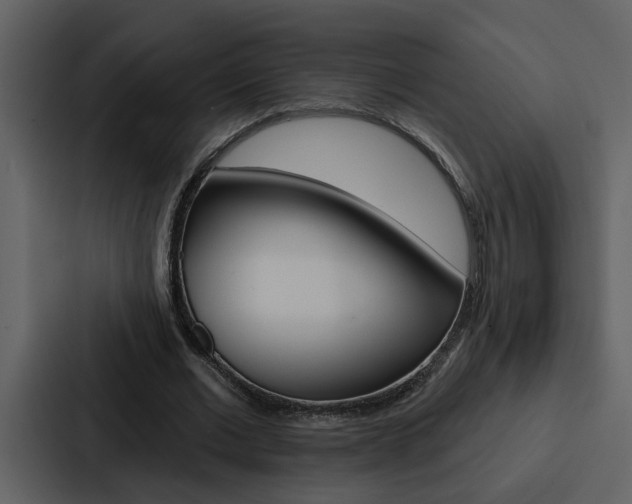 X0000088140677200705141032