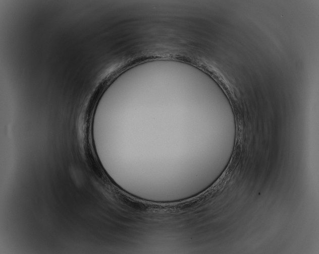 X0000088140679200705141032