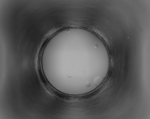 X0000088140682200705141032