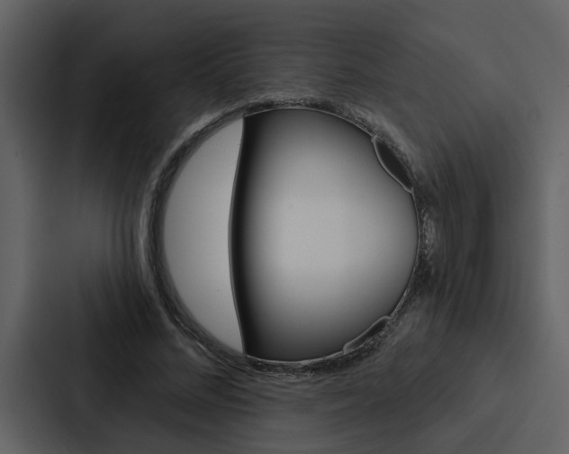 X0000088140684200705141032