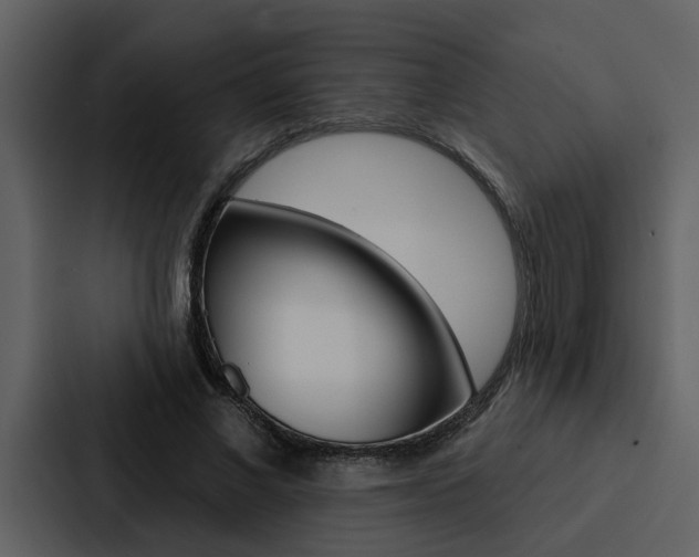 X0000088140685200705141032