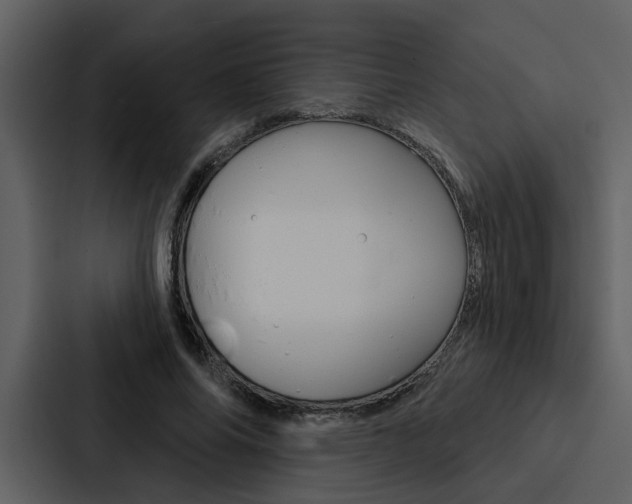 X0000088140686200705141032