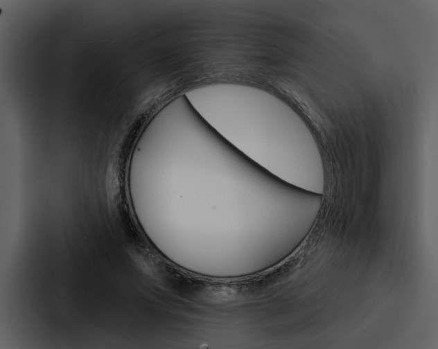 X0000088140687200705141032