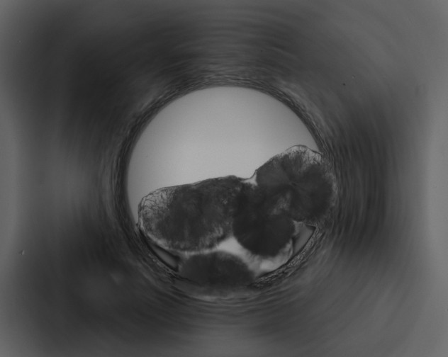X0000088140691200705141032