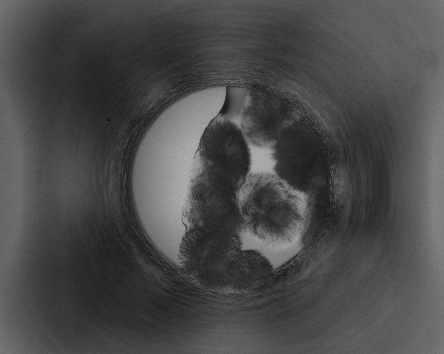 X0000088140695200705141032
