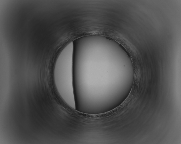 X0000088140696200705141032
