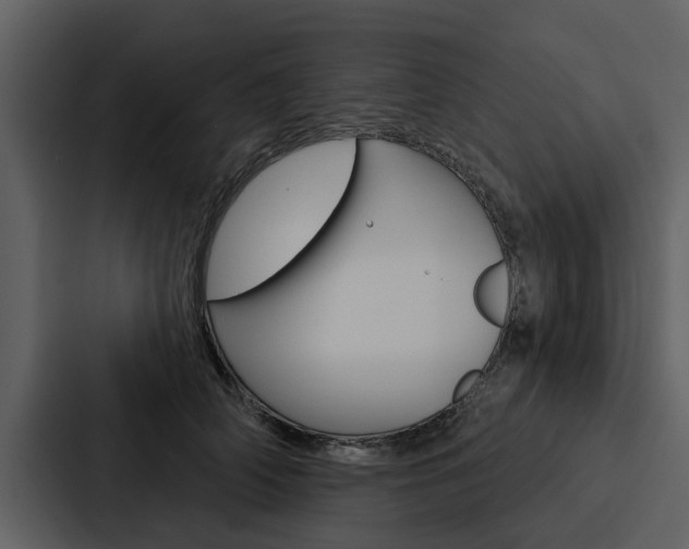 X0000088140706200705141032