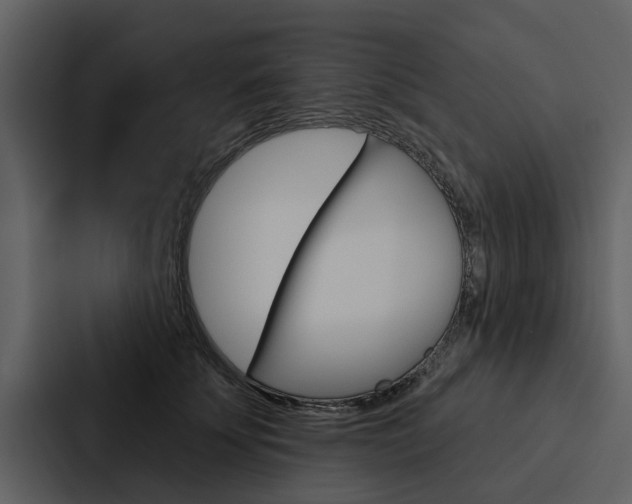 X0000088140707200705141032