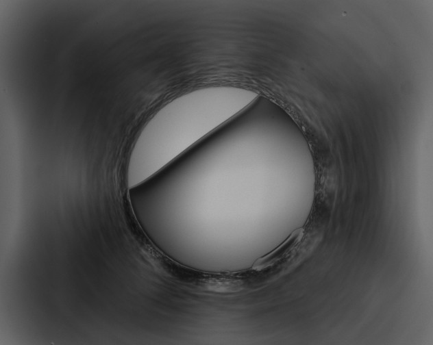X0000088140708200705141032