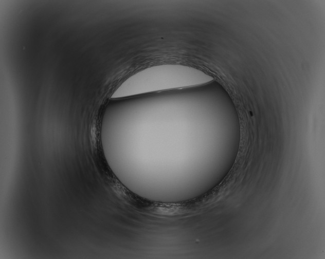 X0000088140720200705141031