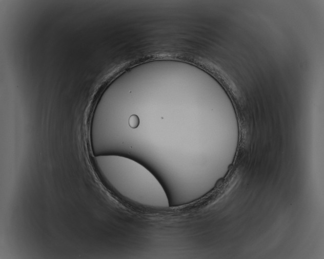 X0000088140721200705141031