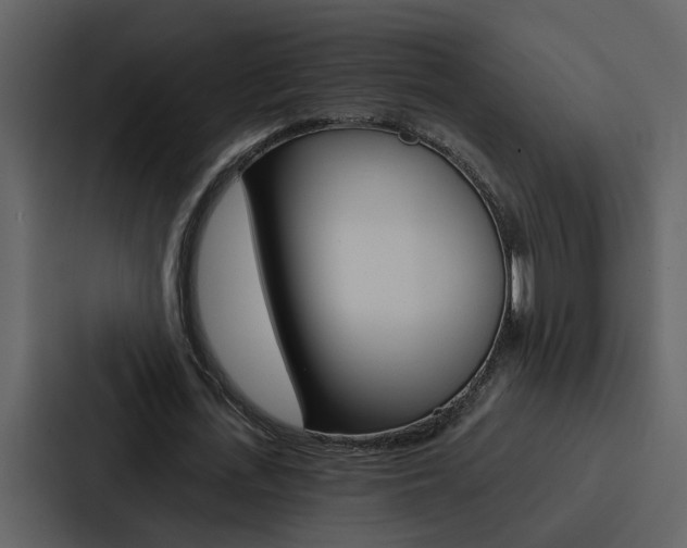 X0000088140723200705141031