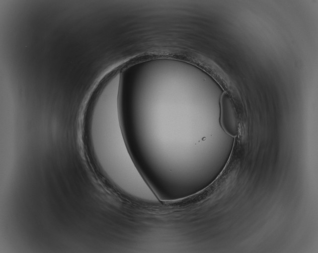 X0000088140724200705141031