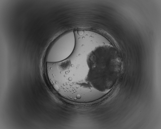 X0000088140725200705141031