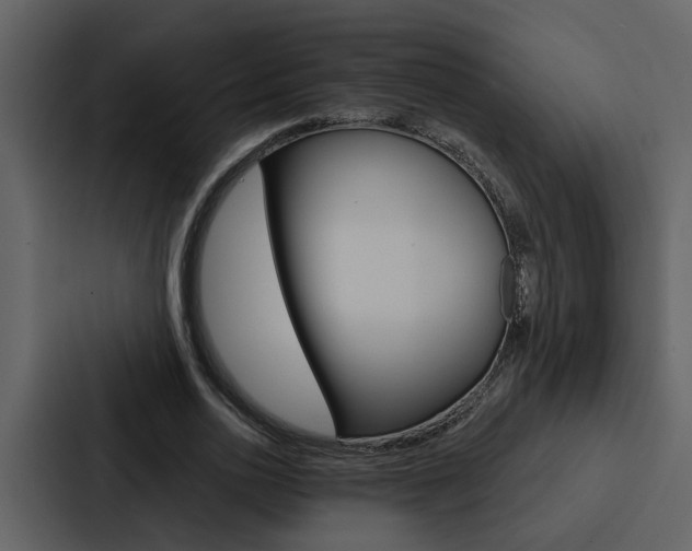 X0000088140726200705141031