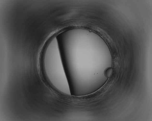 X0000088140727200705141031